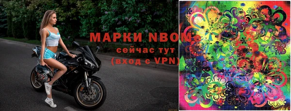 ПСИЛОЦИБИНОВЫЕ ГРИБЫ Баксан