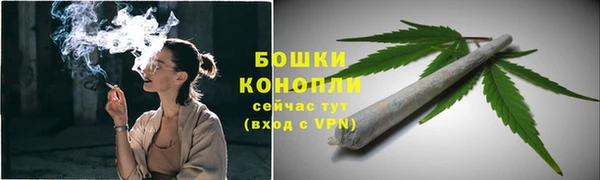 ПСИЛОЦИБИНОВЫЕ ГРИБЫ Баксан