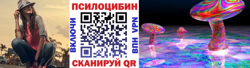 цены   Губаха  Галлюциногенные грибы GOLDEN TEACHER 